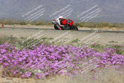 media/Feb-04-2023-SoCal Trackdays (Sat) [[8a776bf2c3]]/Turn 15 Inside Blooming (1050am)/